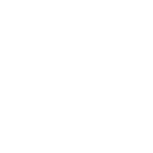 overnight logo